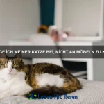 Warum haben einige Tiere eine zweite Hautschicht?