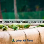 Welche Tiere haben die erstaunlichsten Körperfunktionen?