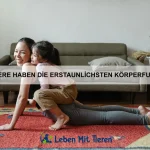 Warum haben einige Vögel bunte Federn?