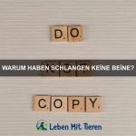 Welche Tiere haben die erstaunlichsten Körperfunktionen?