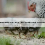 Welche Tiere besitzen die stärkste Panzerung?
