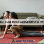 Welche Tiere besitzen die stärkste Panzerung?