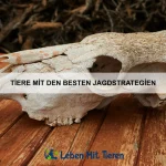 Wie erkenne ich, ob mein Haustier sich wohlfühlt?