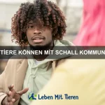 Wie kann ich meinem Haustier mehr geistige Beschäftigung bieten?