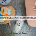 Warum gibt es Tiere, die mit Gift jagen?