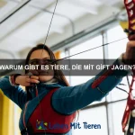 Wie verhindere ich, dass mein Haustier Möbel zerstört?