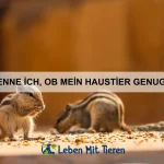 Warum gibt es Tiere, die mit Gift jagen?