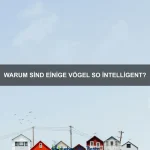Welche Tiere haben die höchste Ausdauer?