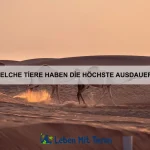 Welche Tiere sind besonders sozial?