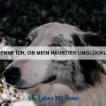 Welche Tiere haben die schnellsten Reflexe?