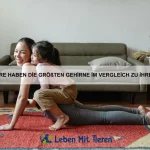 Welche Tiere haben die stärkste Panzerung?