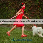 Welche Tiere haben die außergewöhnlichsten Überlebensstrategien?