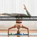 Warum können einige Tiere rückwärts laufen?
