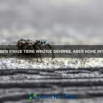 Welche Tiere können sich besonders gut anpassen?