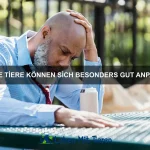 Warum können einige Tiere so hoch springen?