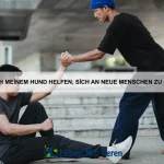 Wie erkenne ich, ob mein Haustier Langeweile hat?