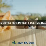Welche Tiere nutzen Gift zur Verteidigung?