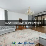Warum haben einige Tiere mehrere Herzen?