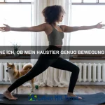 Wie erkenne ich, ob mein Haustier Schmerzen hat?