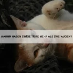 Welche Tiere können mit elektrischen Signalen kommunizieren?