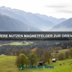 Welche Tiere haben die besten Reflexe?