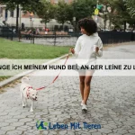 Welche Tiere können echte Werkzeuge benutzen?