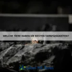 Warum sind manche Tiere giftig?