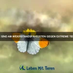 Warum haben einige Tiere haarlose Körper?