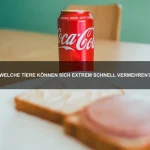 Tiere mit den außergewöhnlichsten Verteidigungsmechanismen