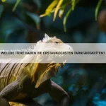 Warum haben einige Tiere eine Panzerhaut?