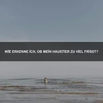 Welche Tiere können unter extremem Druck überleben?