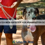 Tiere mit den schnellsten Reflexen