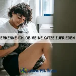 Wie verhindere ich, dass mein Hund zu viel bellt?