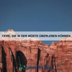Welche Tiere sind besonders anpassungsfähig?