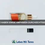 Warum sind einige Tiere besonders langlebig?