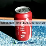 Warum sind einige Tiere besonders langlebig?