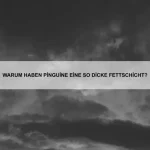 Wie bringe ich meinem Hund bei, entspannt zu bleiben?