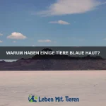 Welche Tiere haben die beste Tarnung im Wasser?