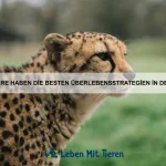 Wie erkenne ich Anzeichen von Depressionen bei meinem Haustier?