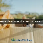 Warum haben einige Tiere unzerstörbare Körperteile?