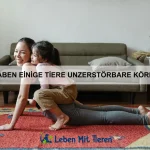 Welche Tiere sind wahre Meister der Tarnung?