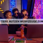 Welche Tiere sind wahre Meister der Tarnung?