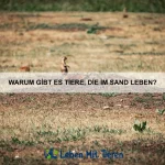 Welche Tiere können auf dem Wasser laufen?