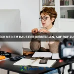 Warum gibt es Tiere, die im Sand leben?