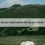 Welche Tiere können ihre Hautfarbe ändern?