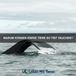 Welche Tiere können ihre Hautfarbe ändern?
