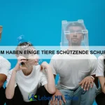 Wie erkenne ich, ob mein Haustier dehydriert ist?