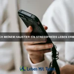 Wie bringe ich meinem Hund bei, sich nicht aggressiv zu verhalten?