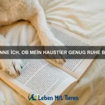 Warum haben einige Tiere eingebaute Filter in ihren Körpern?
