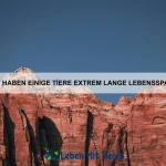 Wie erkenne ich, ob mein Haustier einsam ist?